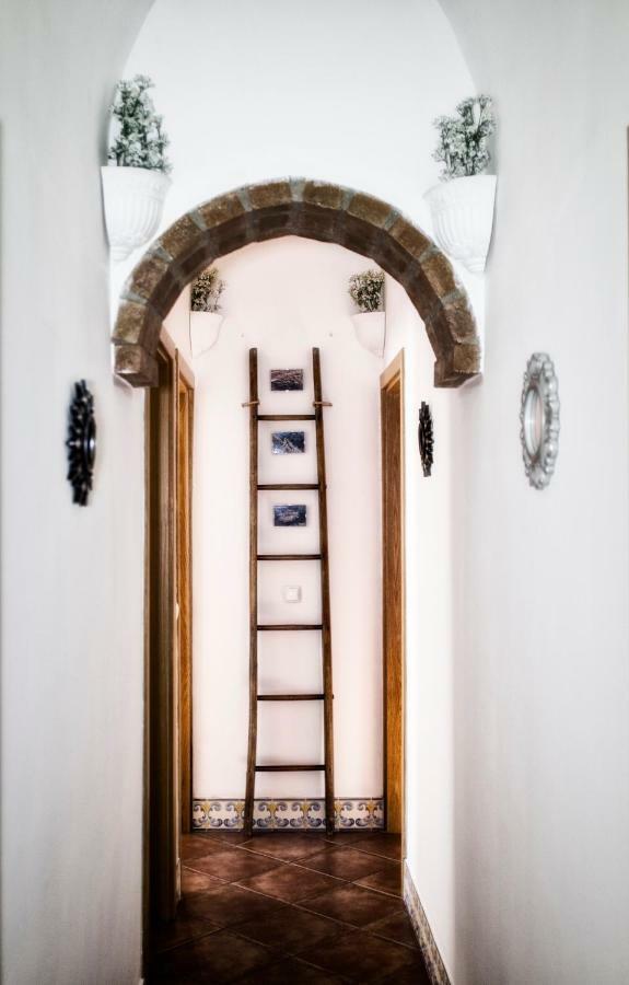 Casa Vitoria Guest House ايفورا المظهر الخارجي الصورة